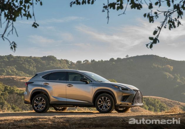 Lexus nx300 2020