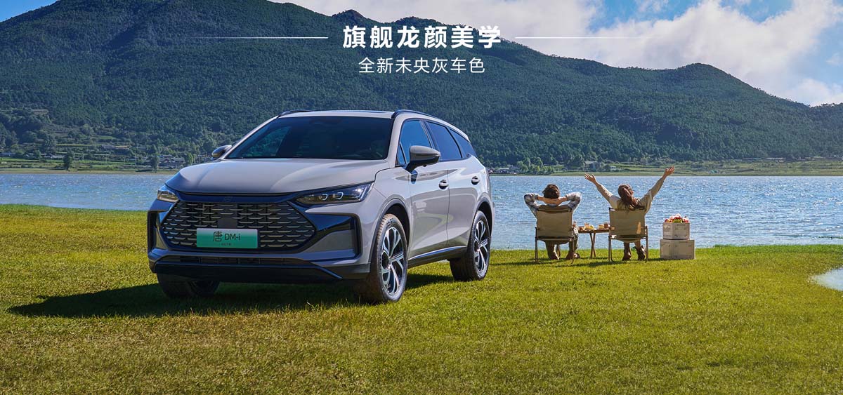 BYD 2024年全年销量达4,250,370，历史上首次突破400万大关！